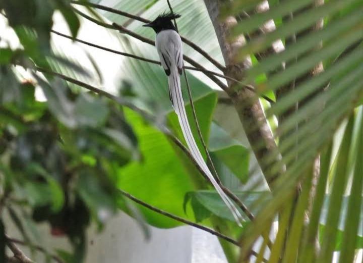 Dinuri Villa Tangalle Bagian luar foto